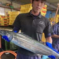 七ヶ浜漁協の担当鈴木